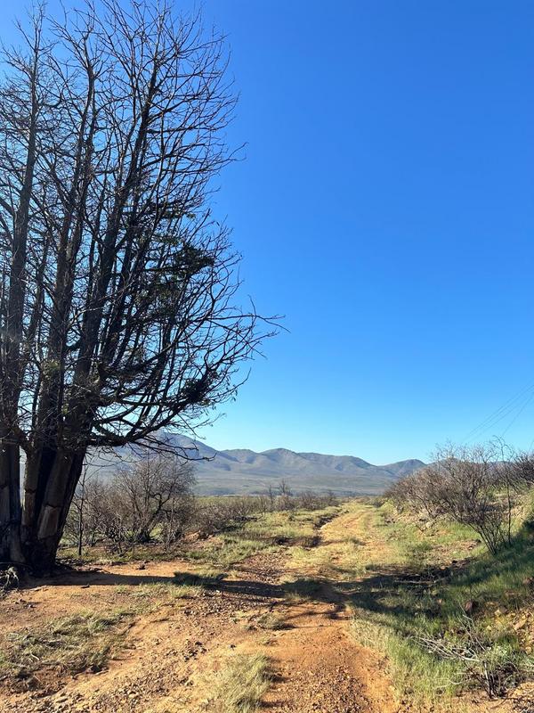 0 Bedroom Property for Sale in Kareedouw Eastern Cape